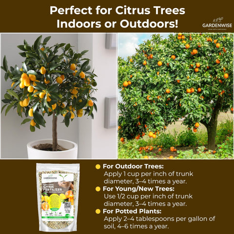 GARDENWISE cítrico en flor gracias a fertilización equilibrada