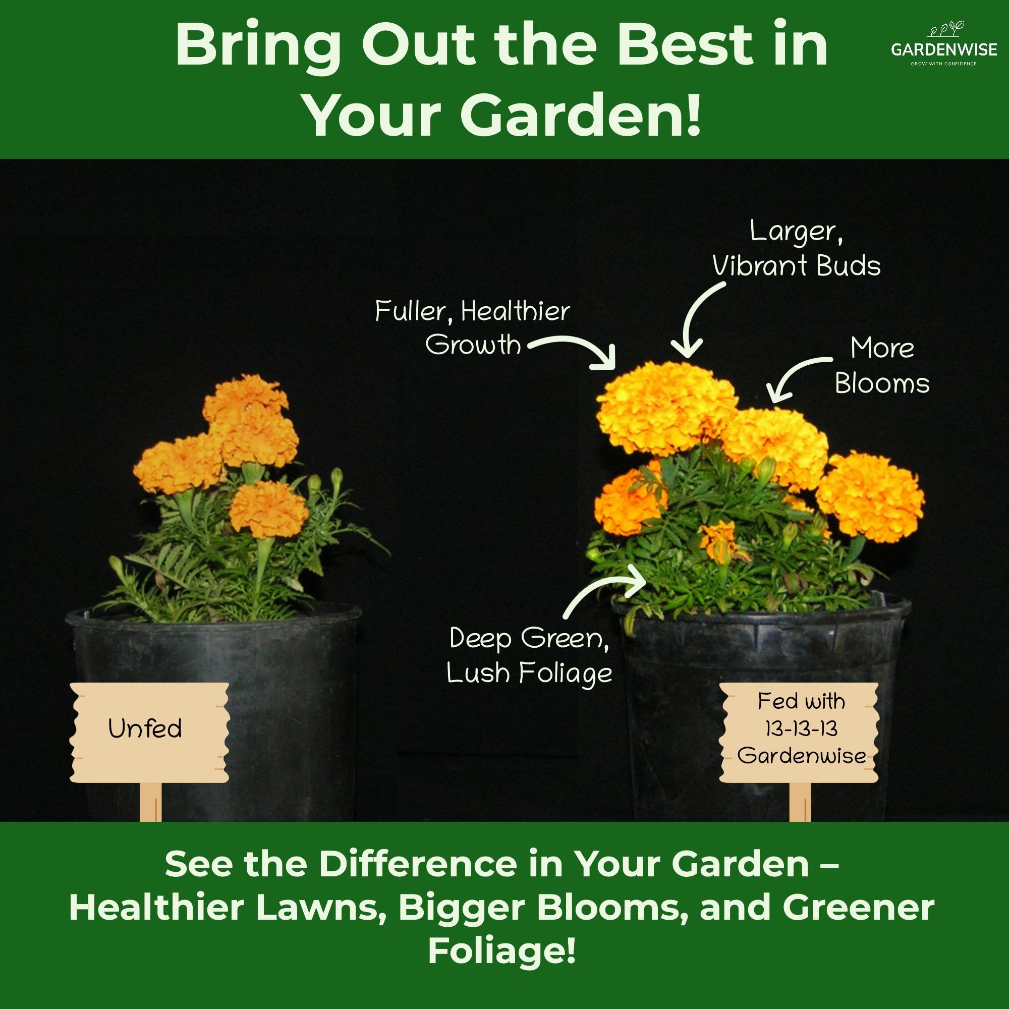 GARDENWISE envase de 4 qt junto a regla para comparar tamaño práctico