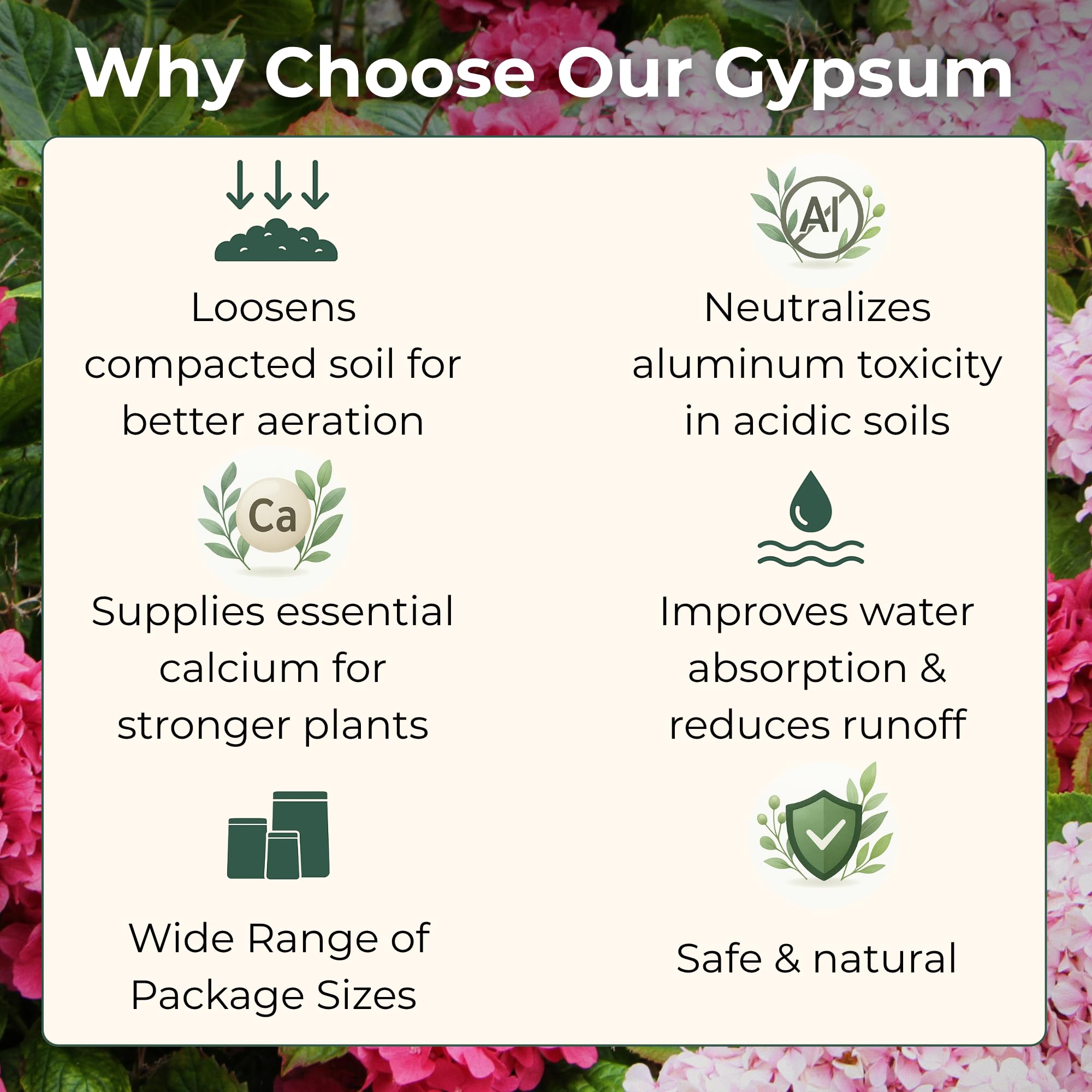 GARDENWISE tamaño del envase 4 qt comparado con herramientas de jardín