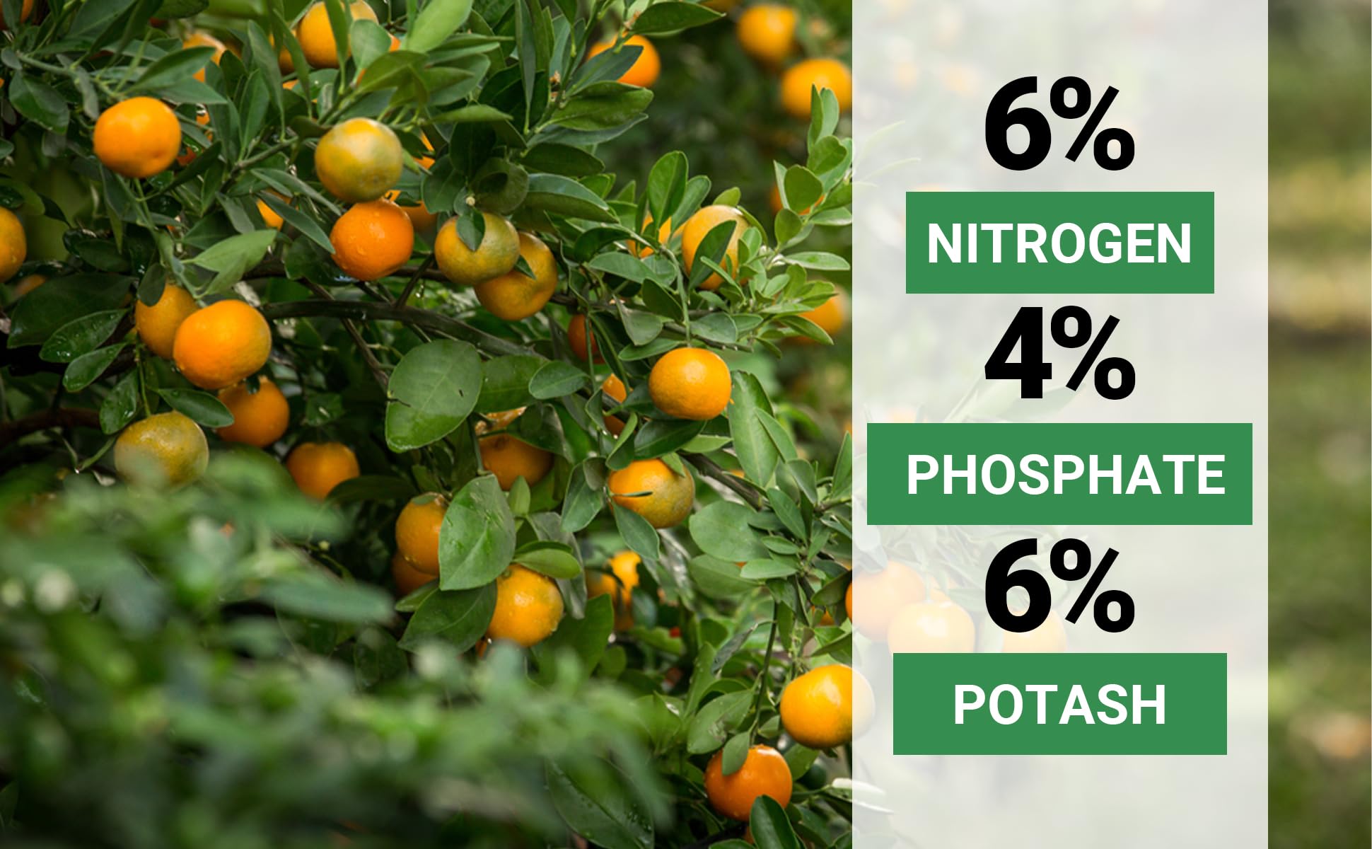 Gardenwise comparación de tamaño en manos, ayuda a calcular dosis visualmente