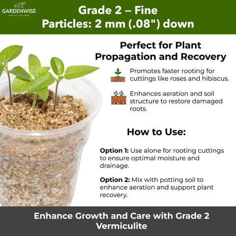 GARDENWISE cultivo de hongos en sustrato con vermiculita estable