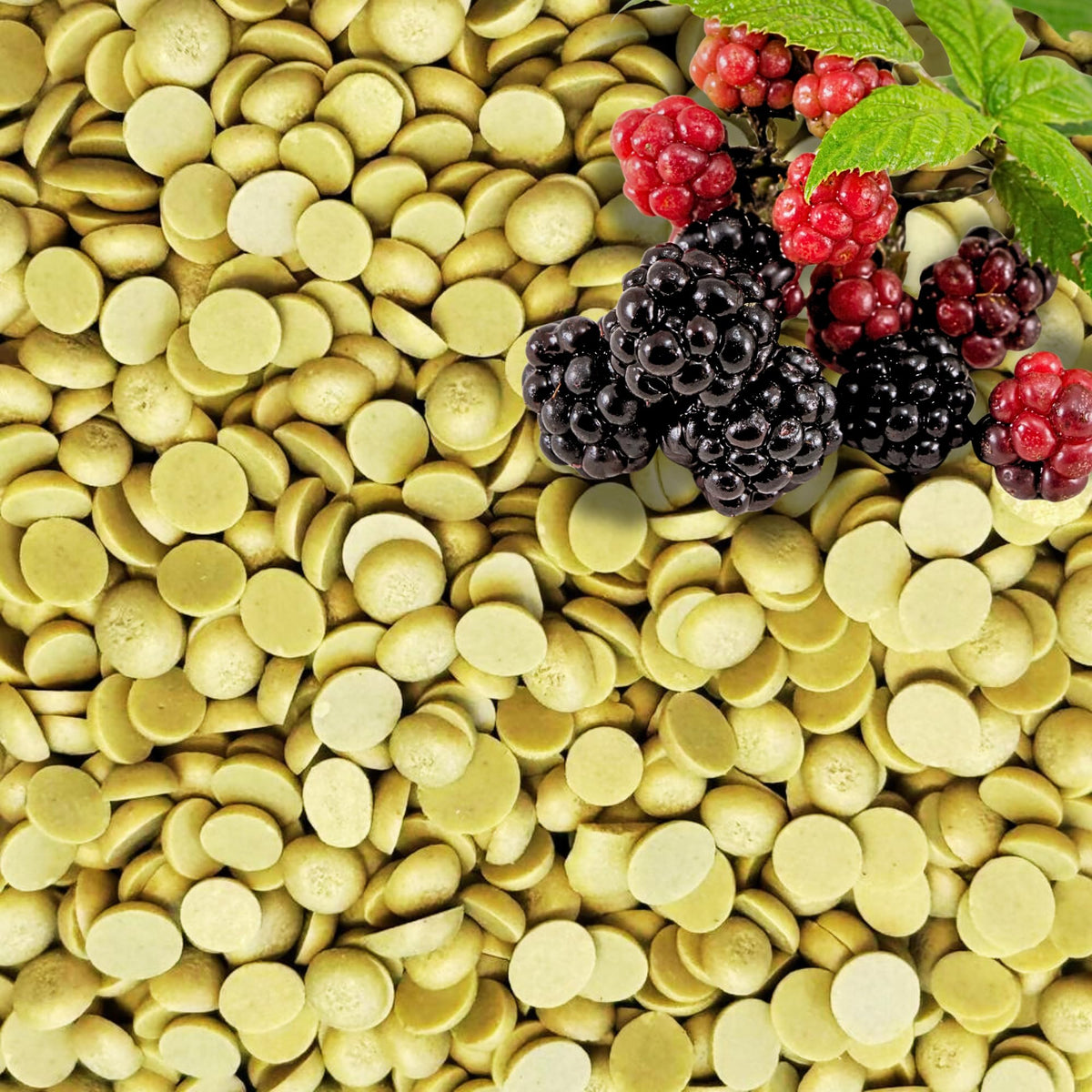 GARDENWISE envase frontal mostrando 4 qt y beneficios para acidificar suelo