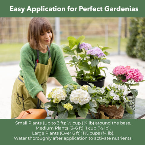 GARDENWISE follaje saludable tras aplicación para mejor apariencia