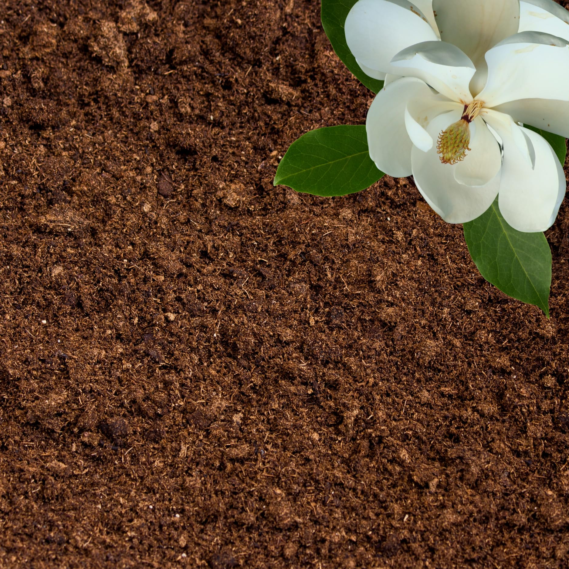 GARDENWISE frente del empaque mostrando contenido y beneficio de uso inmediato