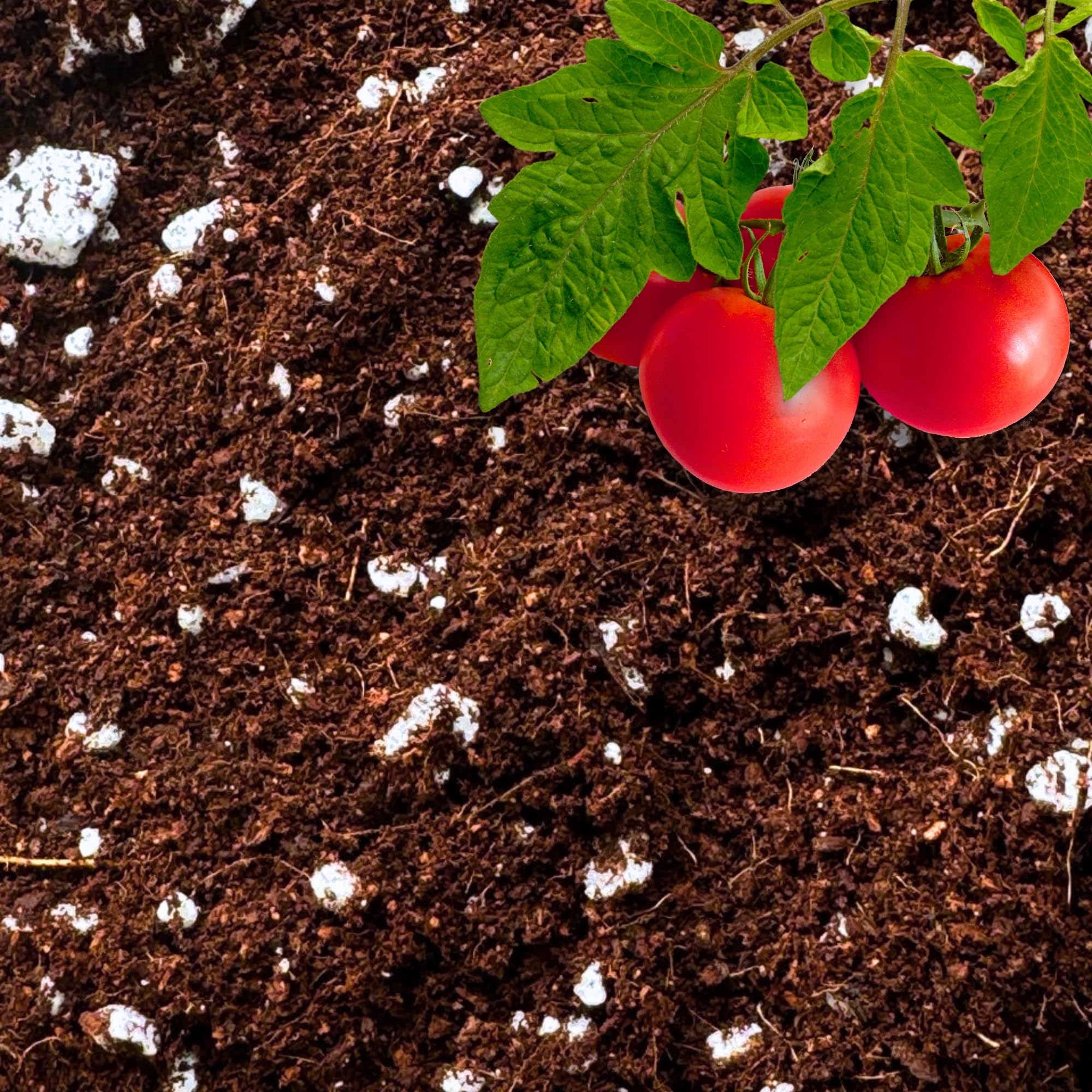 GARDENWISE paquete frontal mostrando 15 quarts y beneficio de lista para usar