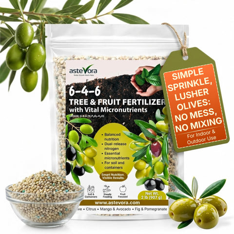 GARDENWISE frasco frontal del fertilizante 6-4-6 para olivos y frutales mostrando etiqueta