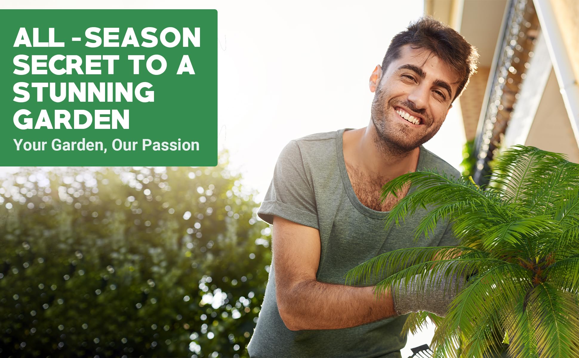 GARDENWISE palmera en paisaje con frondas llenas tras fertilización