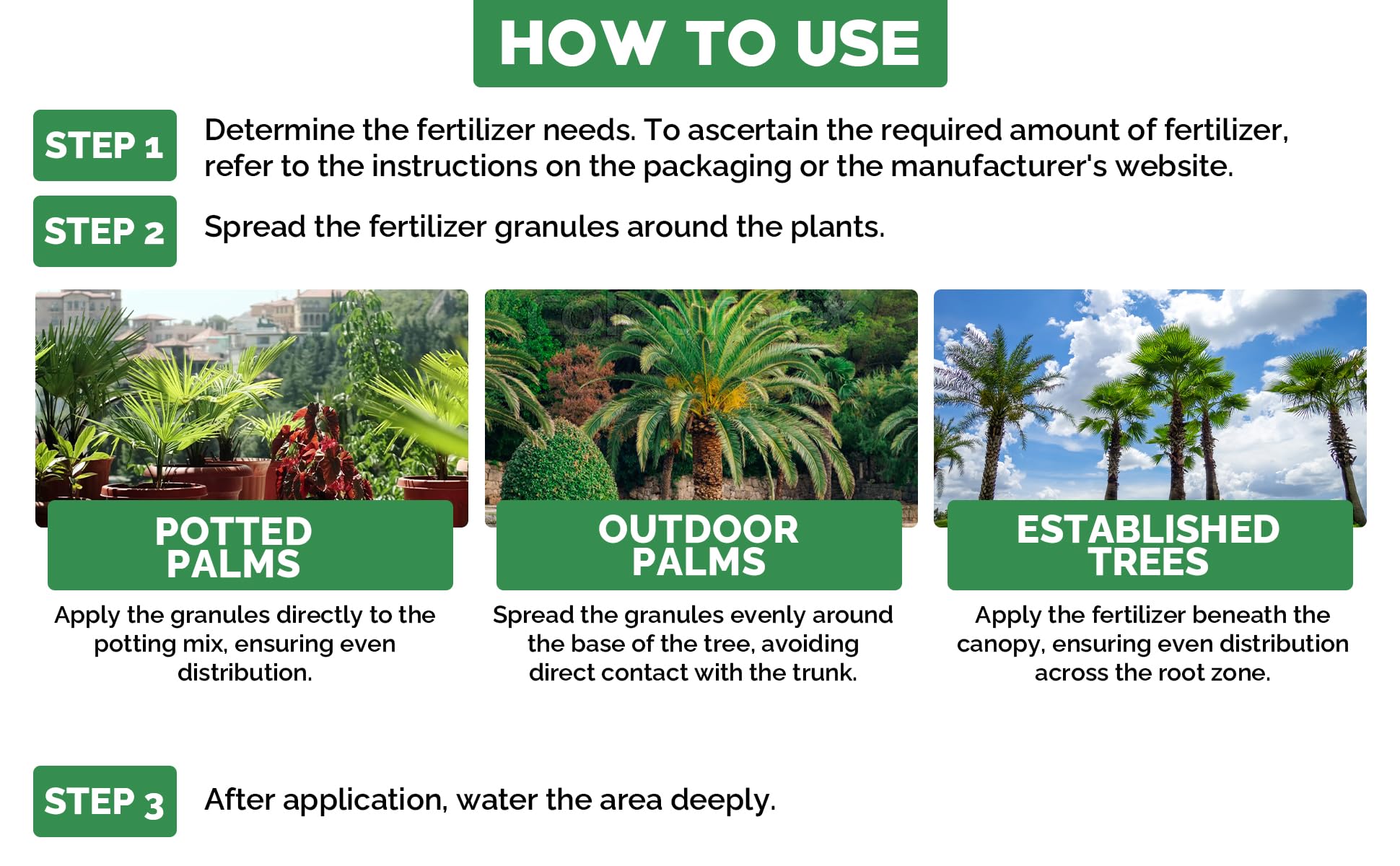 Gardenwise palmera en paisaje tras fertilización, follaje vigoroso