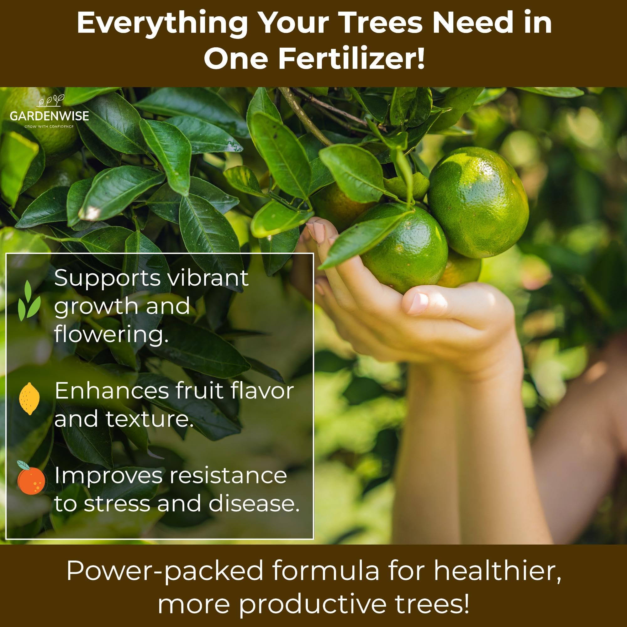 GARDENWISE producto usado en maceta para cítricos en interiores