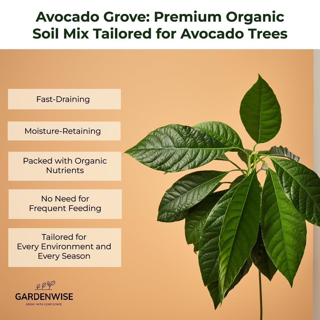 GARDENWISE árbol de aguacate en maceta con raíces sanas, evita pudrición