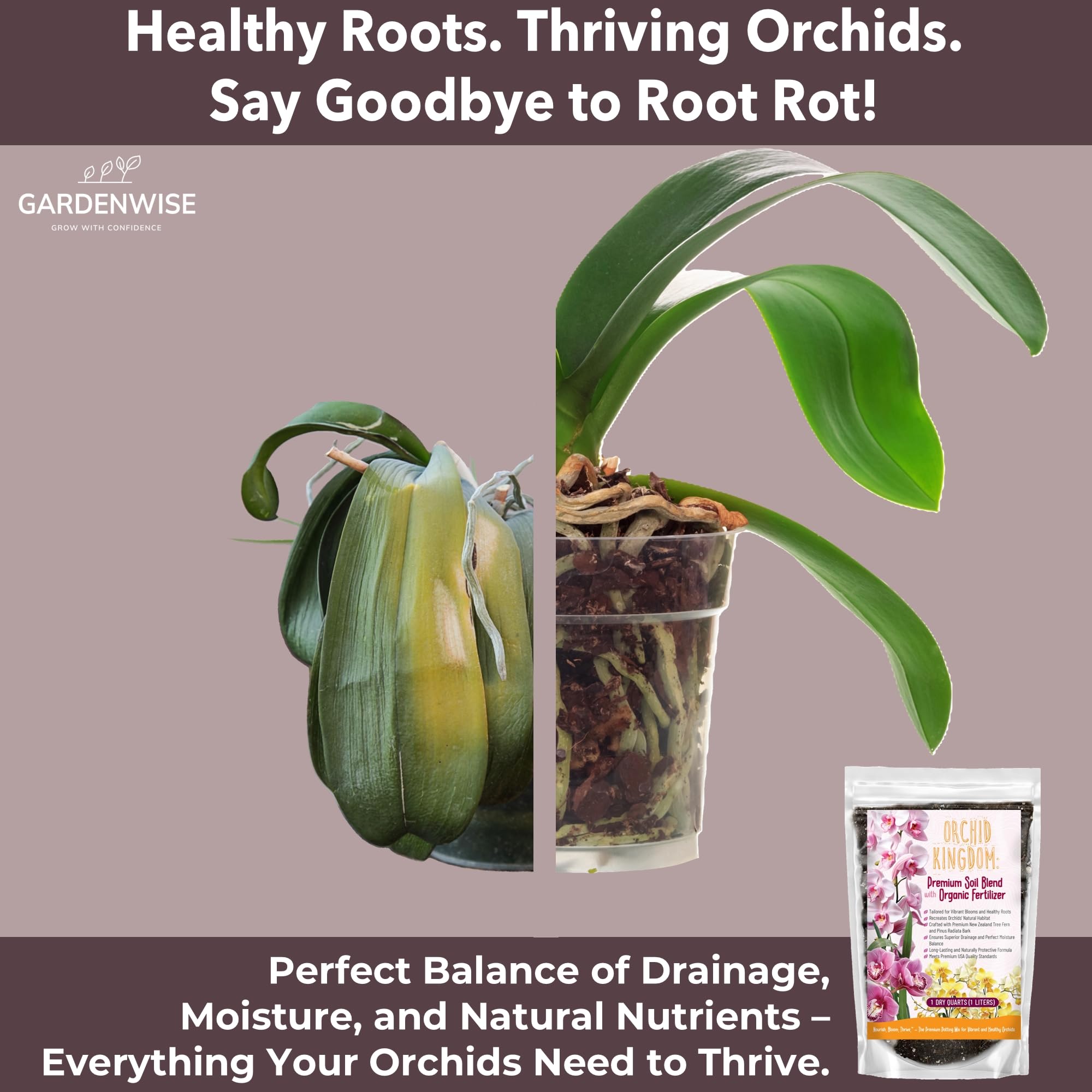GARDENWISE mezcla en maceta de Phalaenopsis favoreciendo raíces