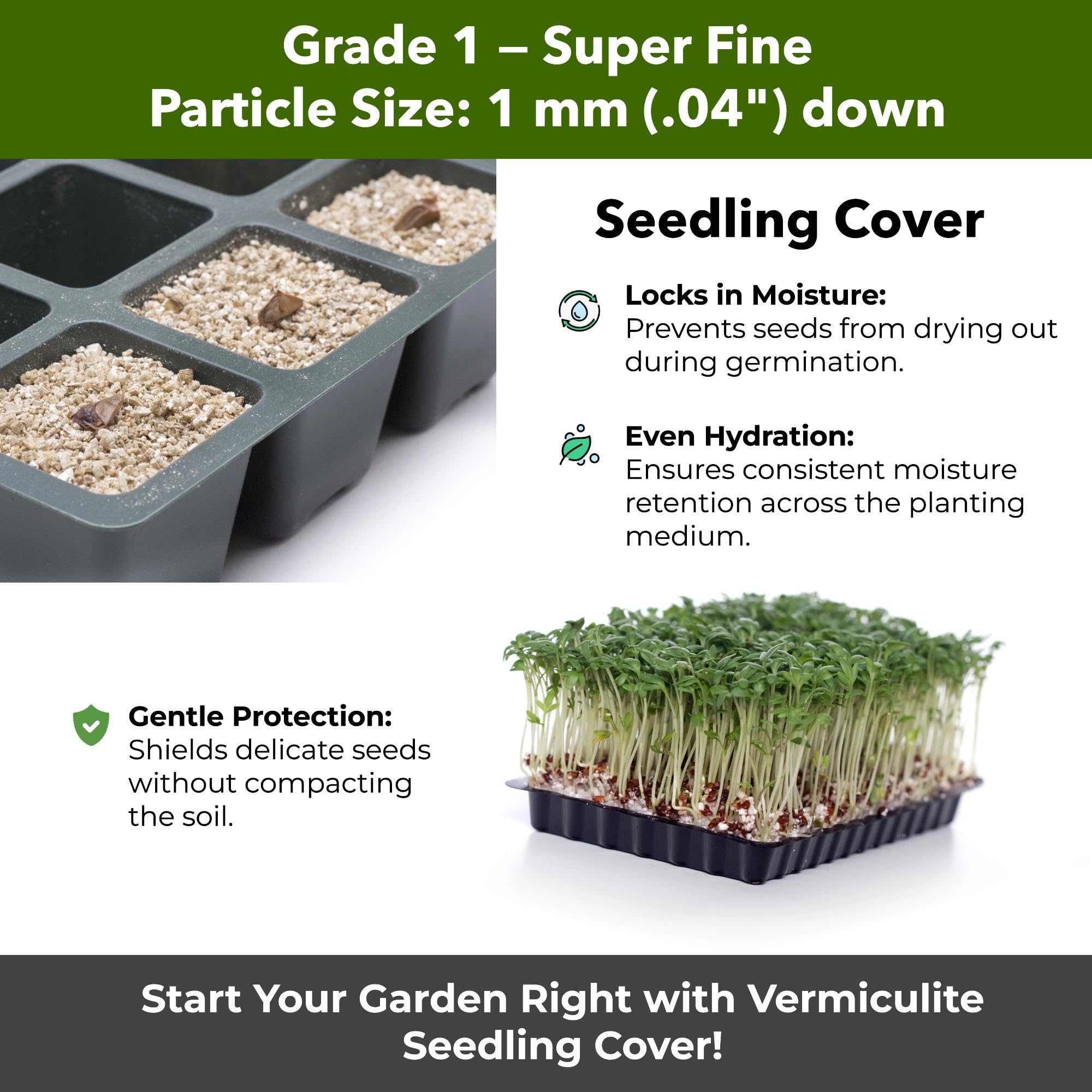GARDENWISE vermiculita usada como capa para cultivo de hongos