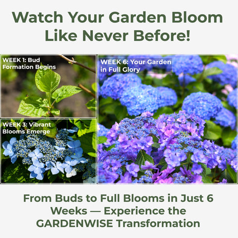 GARDENWISE uso en parterre con hortensias para flores más vivas