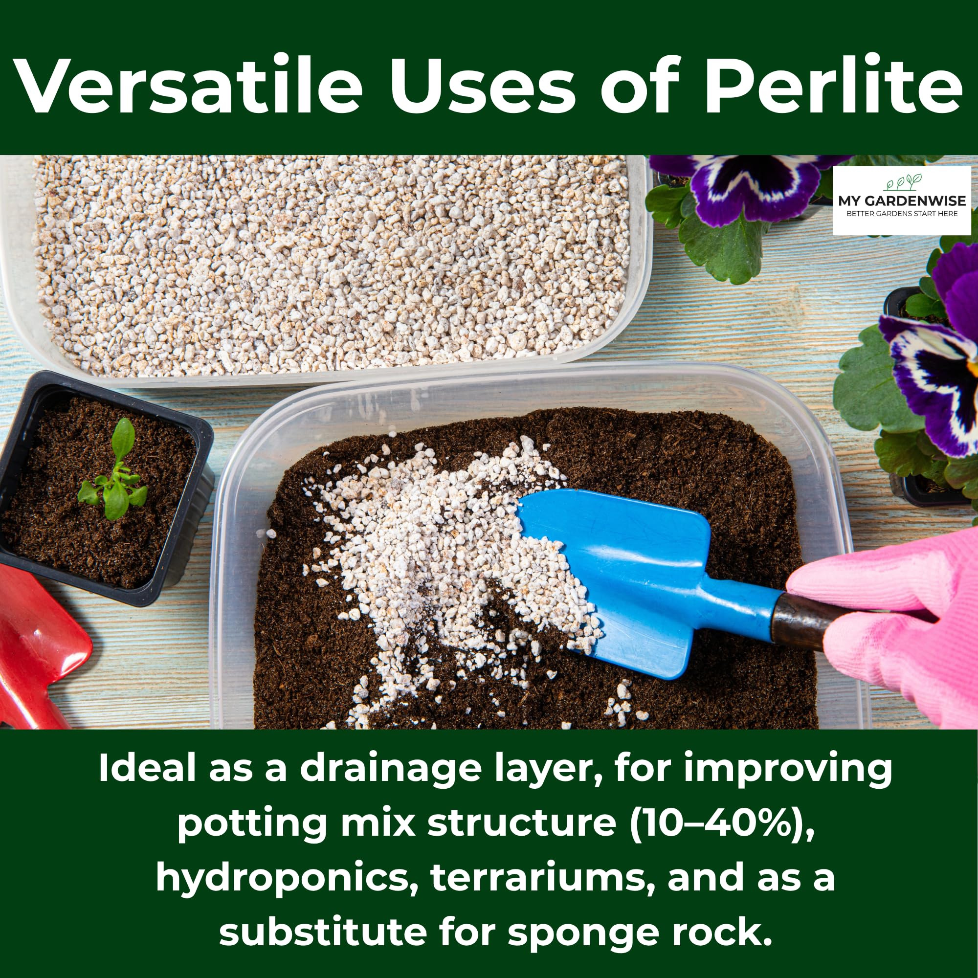 GARDENWISE perlita en terrario con orquídea, ambiente estable y sustrato limpio