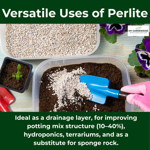 GARDENWISE perlita en terrario con orquídea, ambiente estable y sustrato limpio