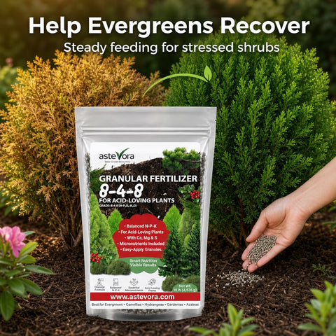 GARDENWISE producto usado cerca de pinos para crecimiento resistente