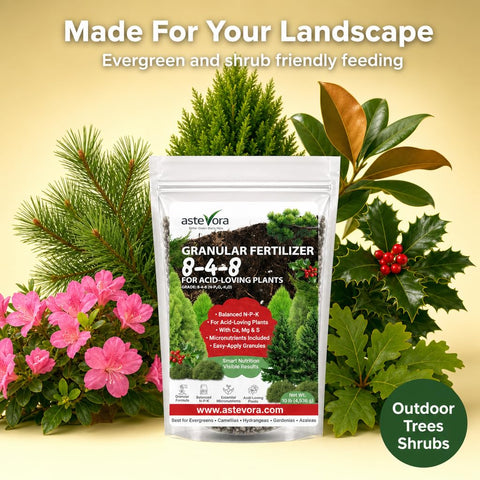 GARDENWISE aplicando en azaleas para mejorar color y densidad de hojas