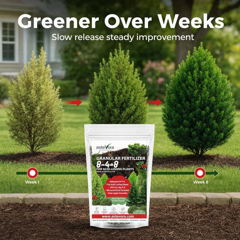 GARDENWISE comparación de escala 4 quarts para conocer la cantidad disponible