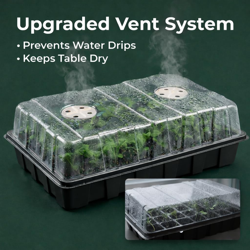 Gardzen bandeja vista superior con 40 celdas para clasificar semillas y variedades
