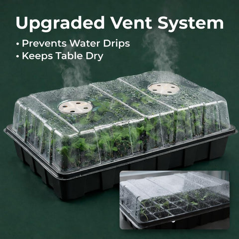 Gardzen bandeja vista superior con 40 celdas para clasificar semillas y variedades