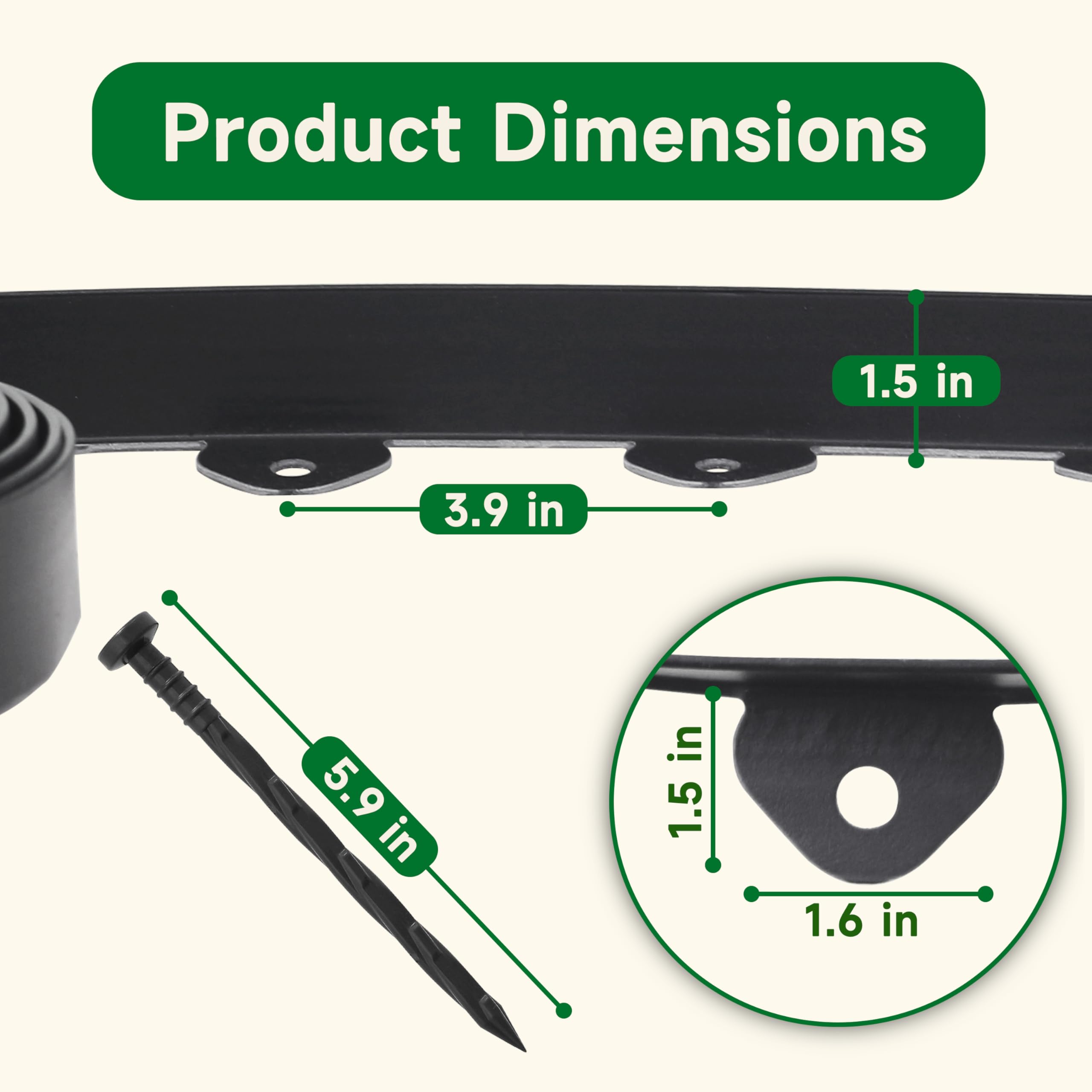 Gardzen comparación de escala junto a una regla para ver altura discreta de 1.5"