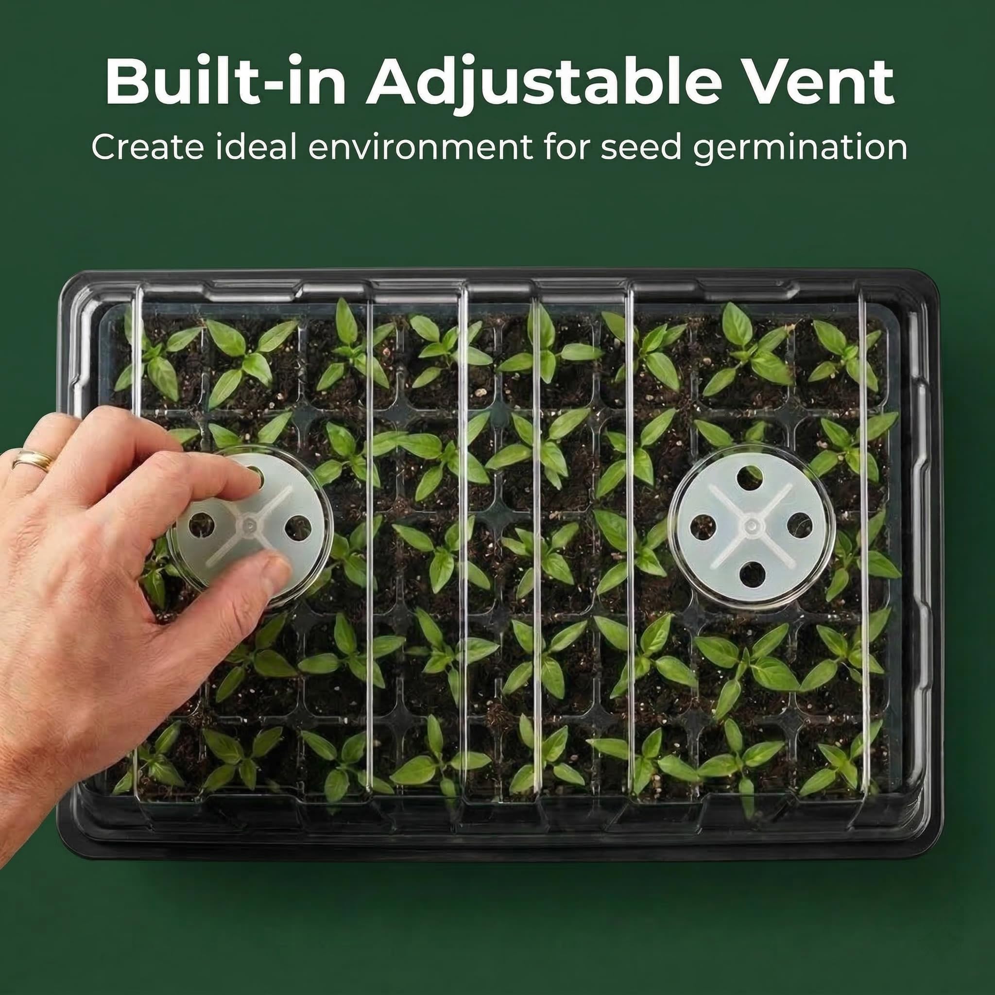 Gardzen domo con ventilación cerrada para controlar humedad y evitar moho