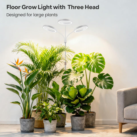 Garpsen primer plano del difusor semitransparente mejorando transmisión