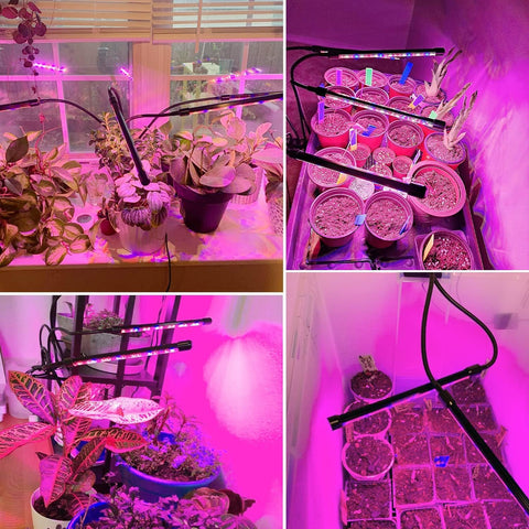 Garpsen lámpara sobre escritorio con plantas, mejor iluminación interior