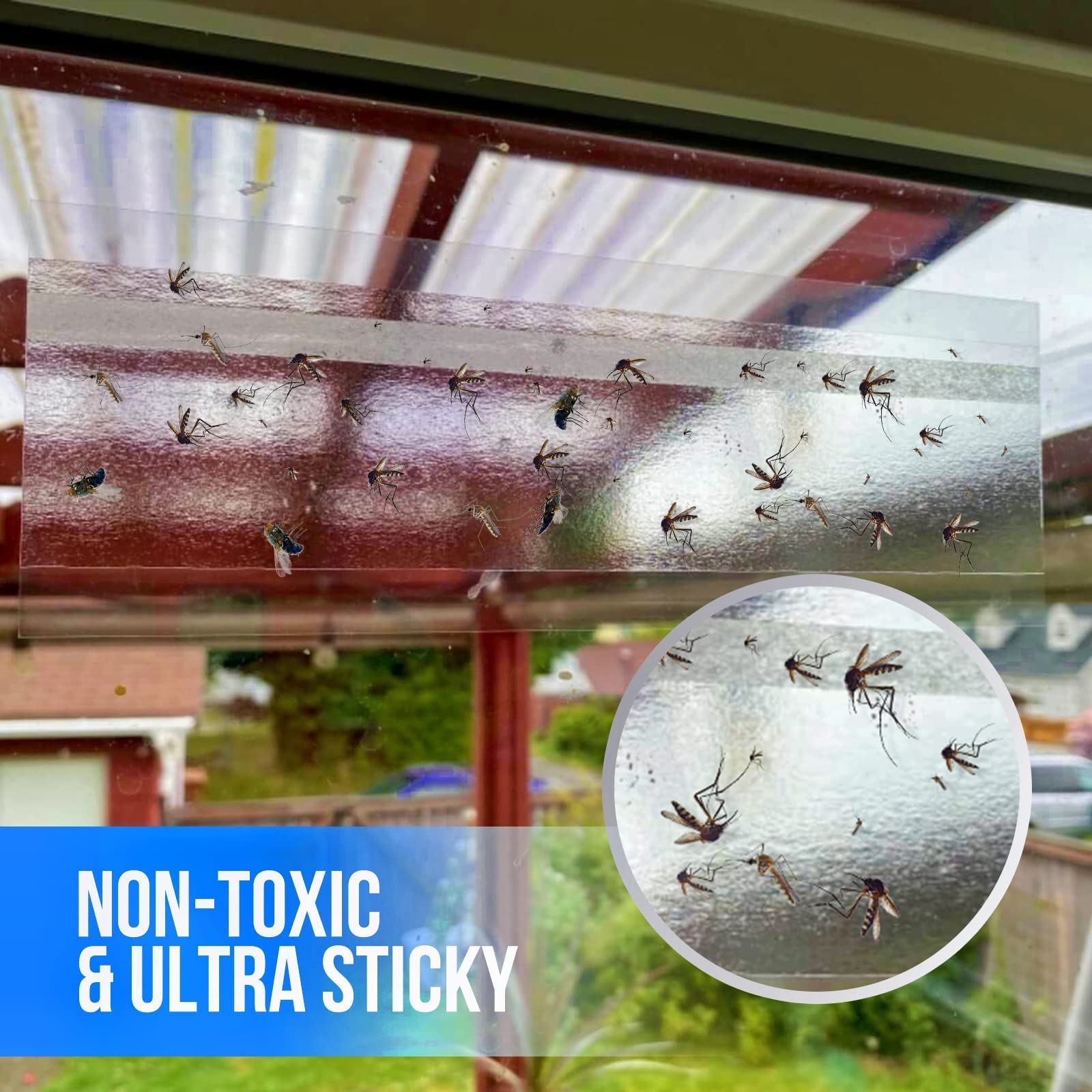 Garsum trampa colocada en ventana atrapando moscas, mantiene limpieza