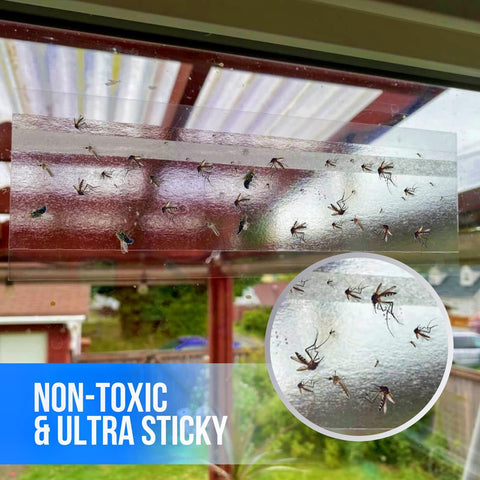 Garsum trampa colocada en ventana atrapando moscas, mantiene limpieza