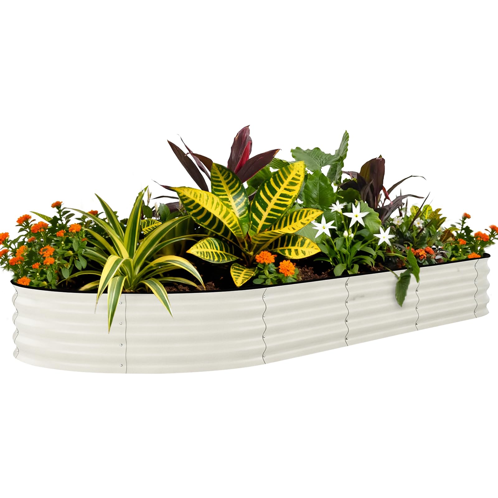 Garvee frontal de la jardinera ovalada mostrando capacidad y diseño