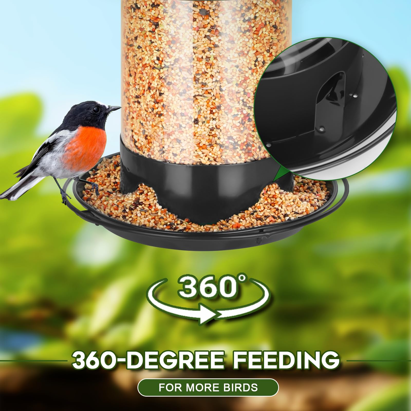 Gbekery comedero en uso con varias aves posadas promoviendo observación de aves
