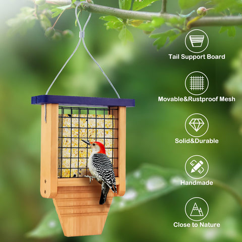 Gbekery comedero en uso con pájaro posado, estimula observación natural