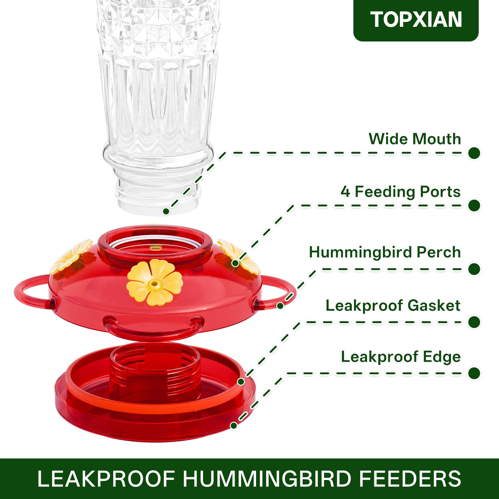 GelinRedcap set empaquetado ideal como regalo para amantes de aves