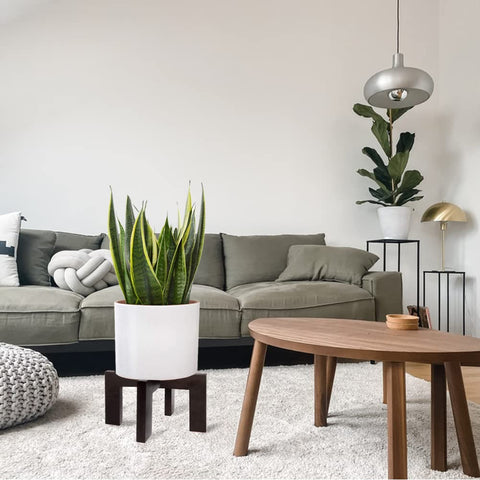 Gendral Forwepup en terraza boho aportando calidez decorativa