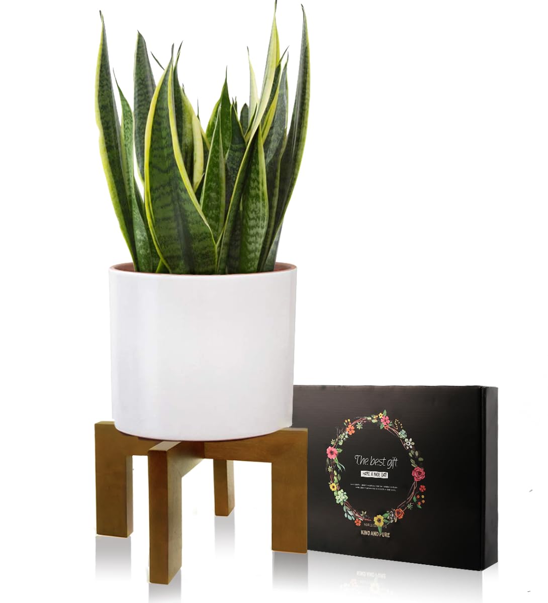 Gendral Forwepup textura de madera rattan que aporta calidez