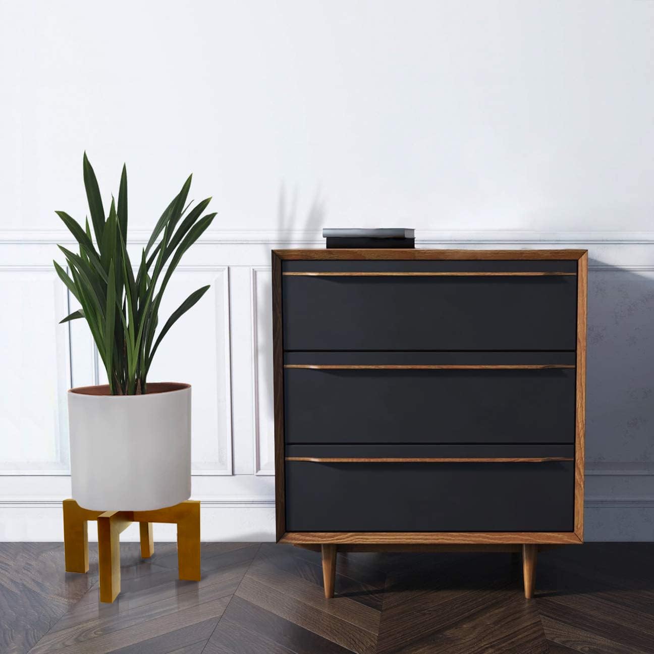 Gendral Forwepup en sala decorativa realzando plantas interiores
