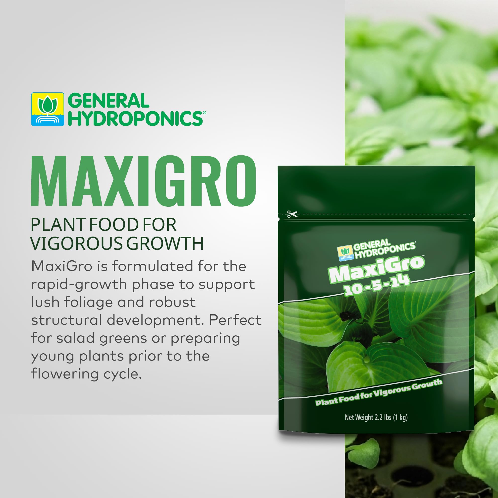 General Hydroponics MaxiGro textura del polvo soluble mostrando fácil disolución