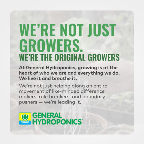General Hydroponics MaxiGro aplicado en un sistema hidropónico para crecimiento vegetativo
