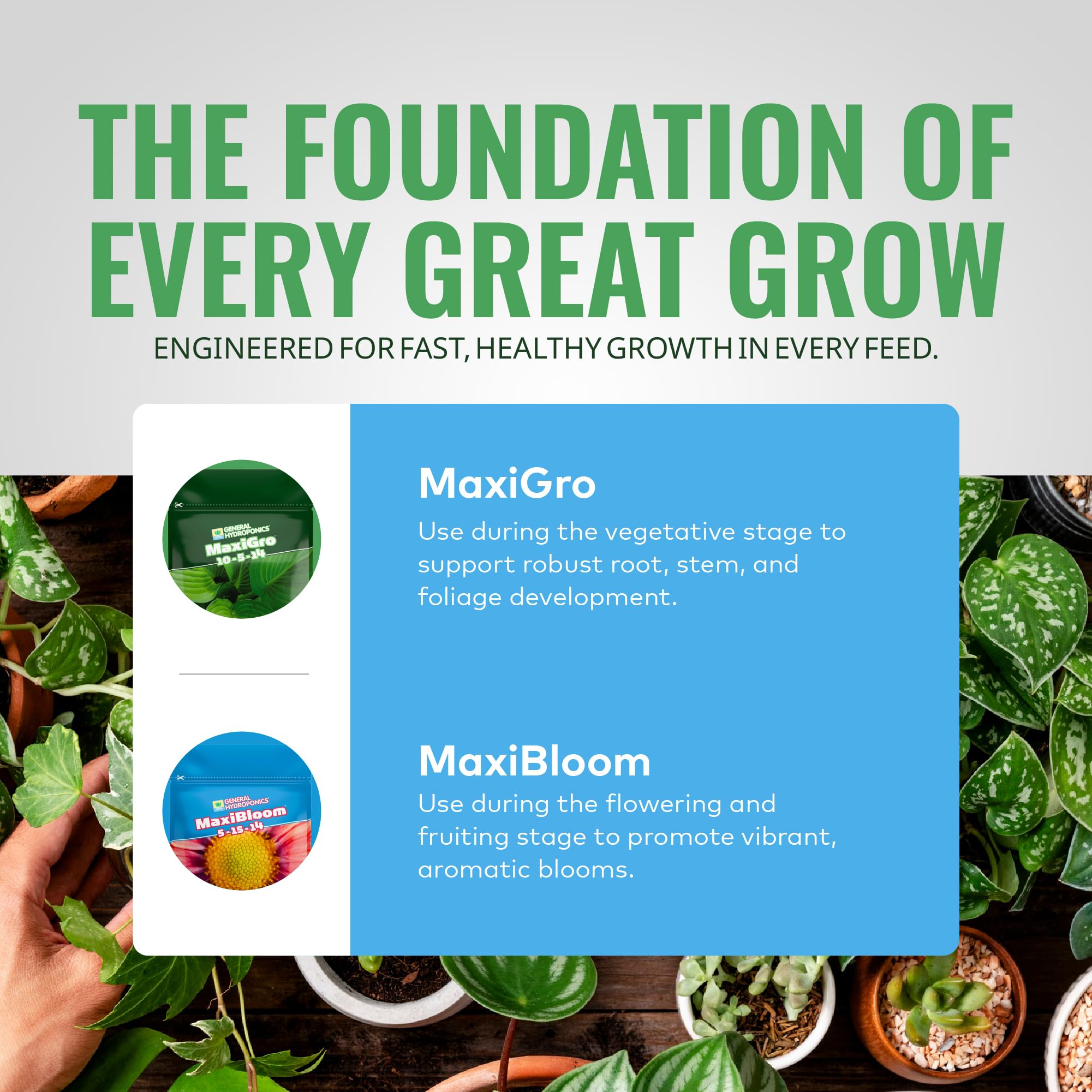 General Hydroponics MaxiGro comparación de tamaño del envase para calcular rendimiento
