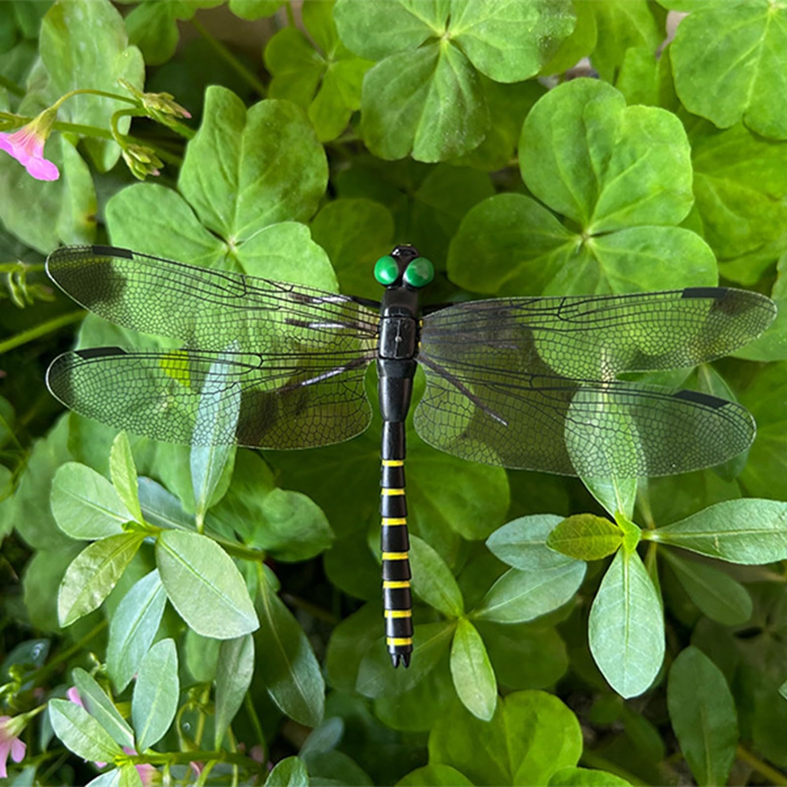 Generic libélula negra ornamentación sobre mesa de terraza aporta tranquilidad