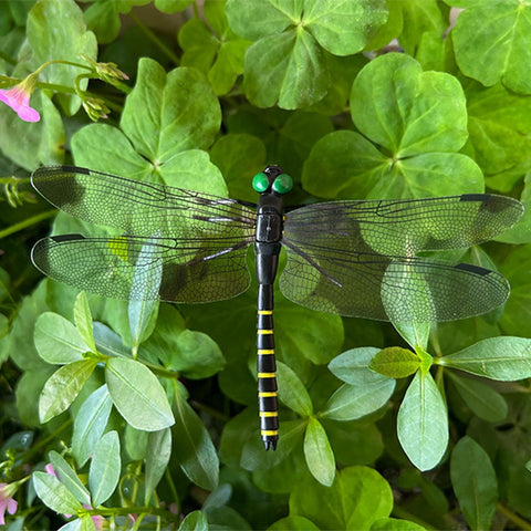 Generic libélula negra ornamentación sobre mesa de terraza aporta tranquilidad