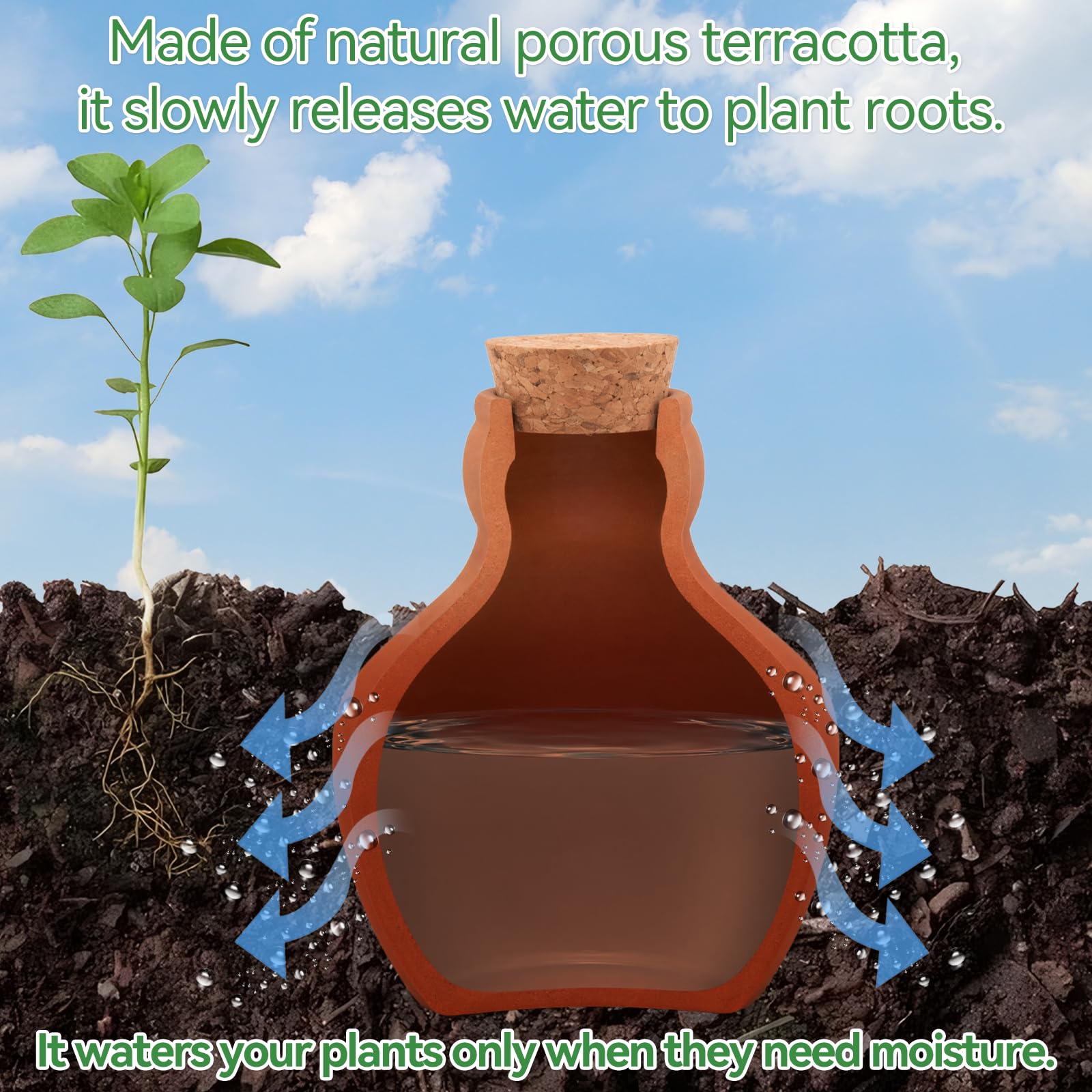 Generic olla en suelo instalación enterrada parcialmente optimiza riego de raíces
