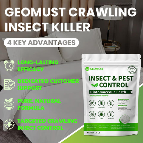 Geomust aplicado en alfombra cerca de mascota, control seguro y limpio