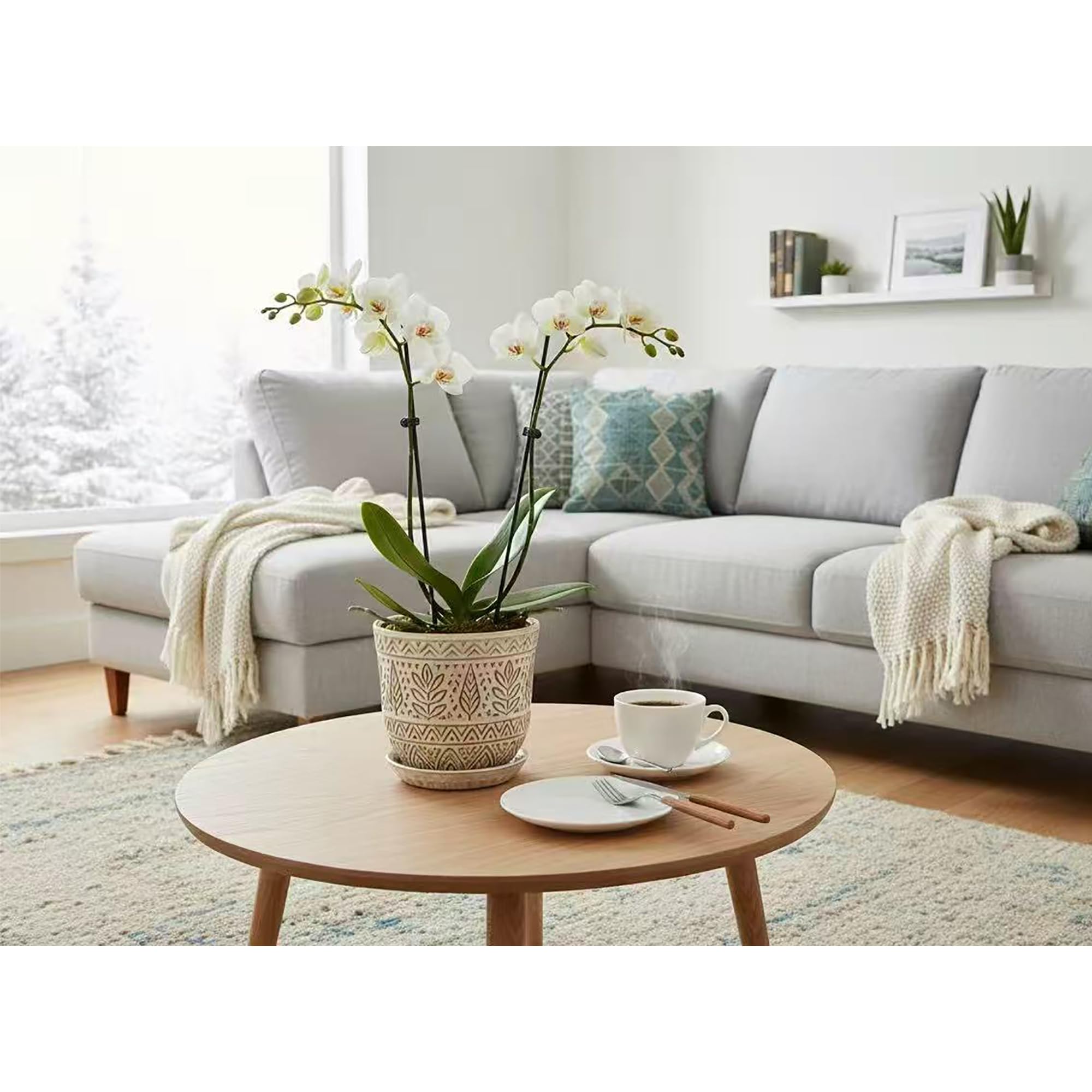 Gepege conjunto decorativo en sala aportando estilo y frescura verde
