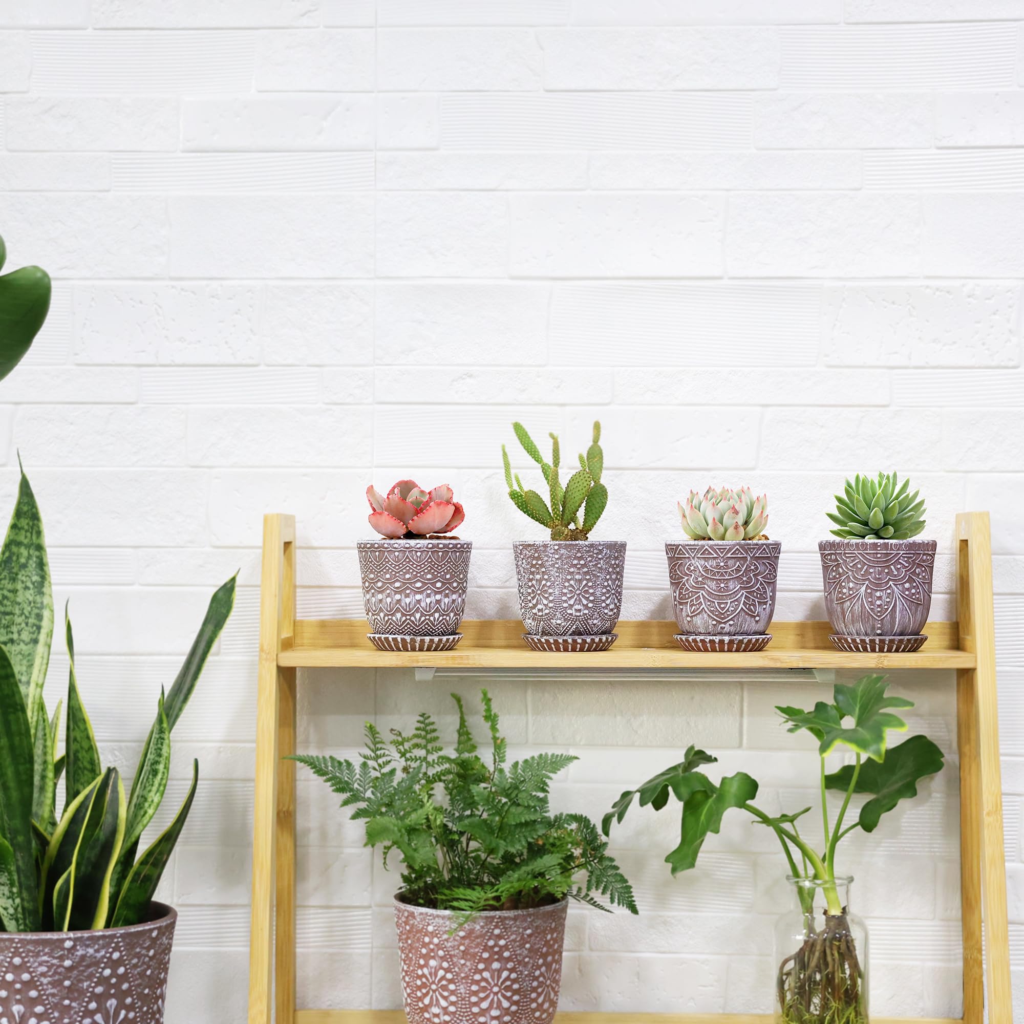 Gepege macetas en sala como decoración, aporta estilo y orden a interiores