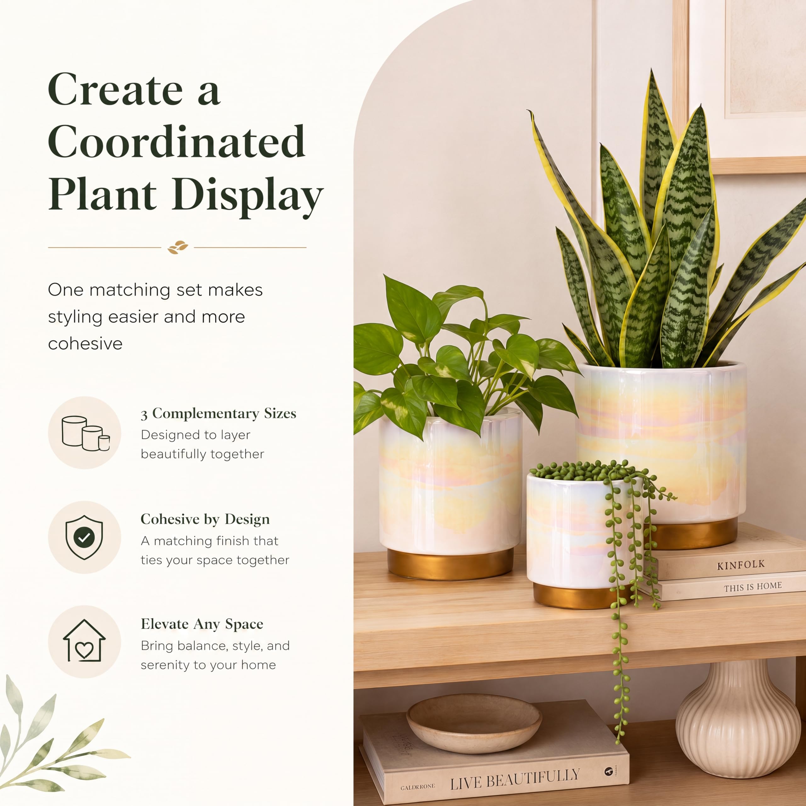 Gepege maceta de 6 pulgadas vista frontal ideal para plantas medianas