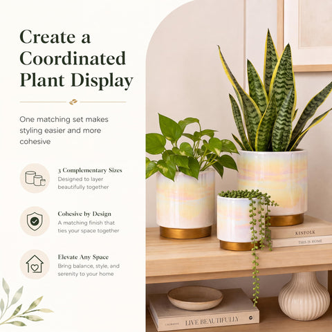 Gepege maceta de 6 pulgadas vista frontal ideal para plantas medianas