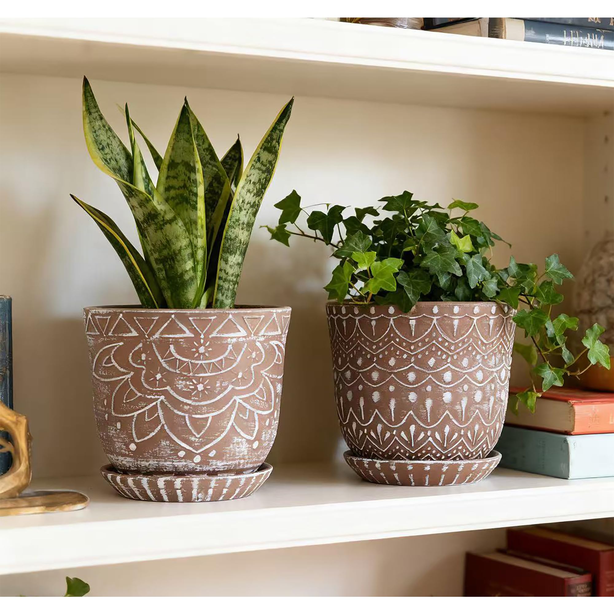 Gepege embalaje listo para regalo ideal como detalle para plantas