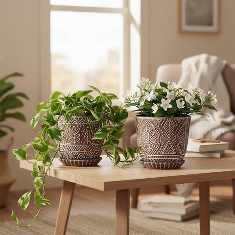 Gepege empaque listo para regalo ideal como presente de casa o jardinería